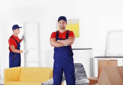 Man and van service in Pimlico with moving boxes and furniture