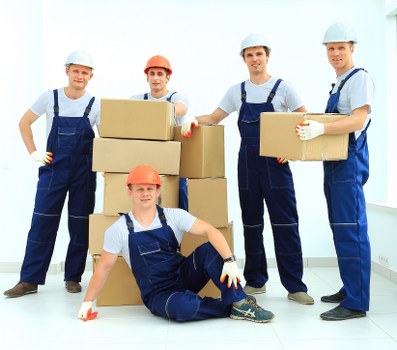 Professional moving assistance in Pimlico neighbourhood