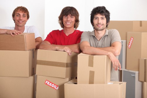 Careful packing of fragile household items for a flat move